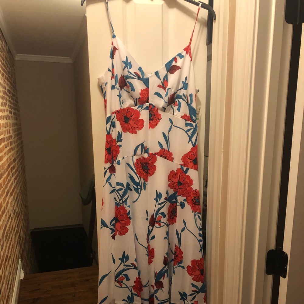 NWT Bar iii Varsity Garden Dress